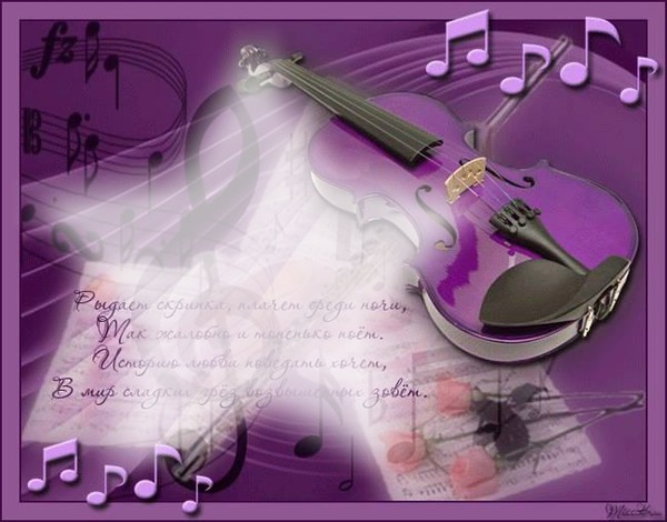 violon violet Фотомонтаж