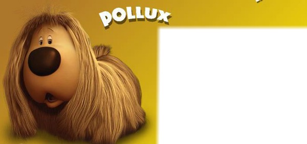 pollux Photo frame effect
