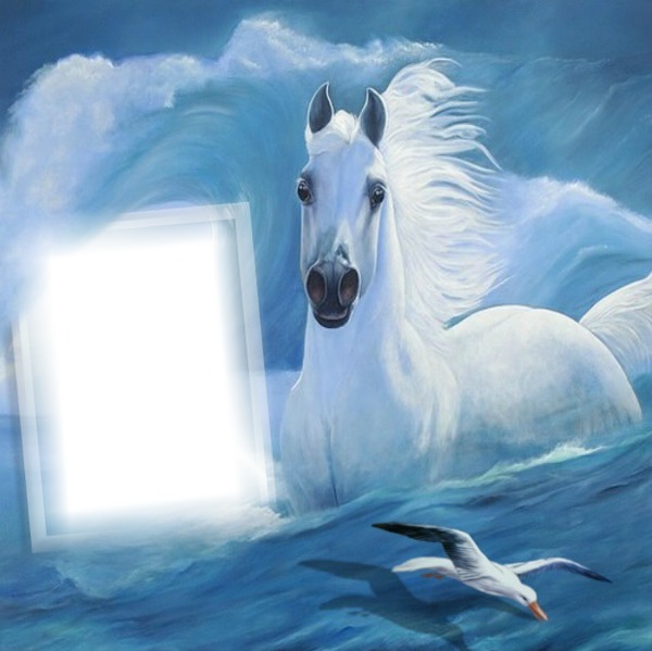 cadre cheval Photo frame effect
