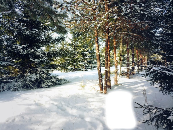 зима Valokuvamontaasi