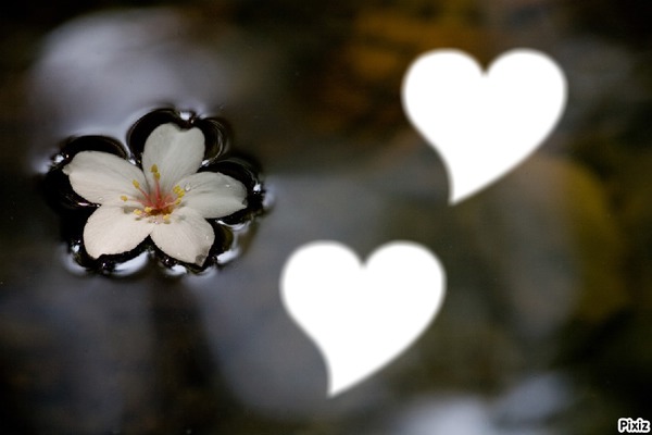 Hearts Flower Фотомонтажа