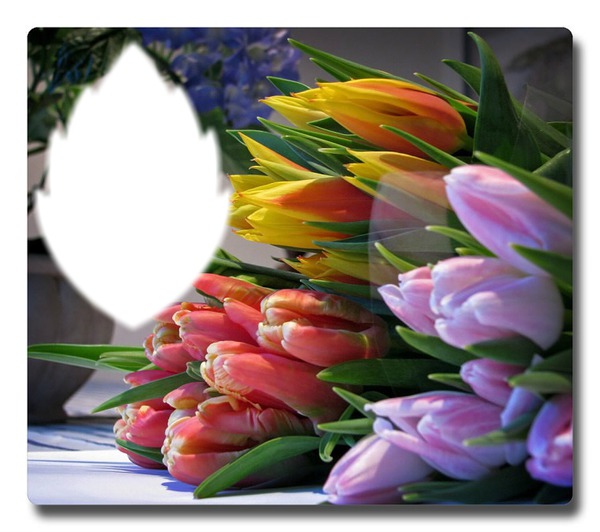 tulipes Fotomontažas