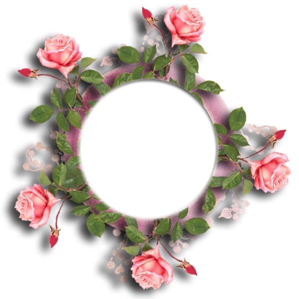 cadre fleur rose Photo frame effect