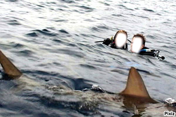 requin Fotomontažas