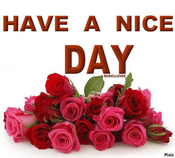 have a nice day Montage photo