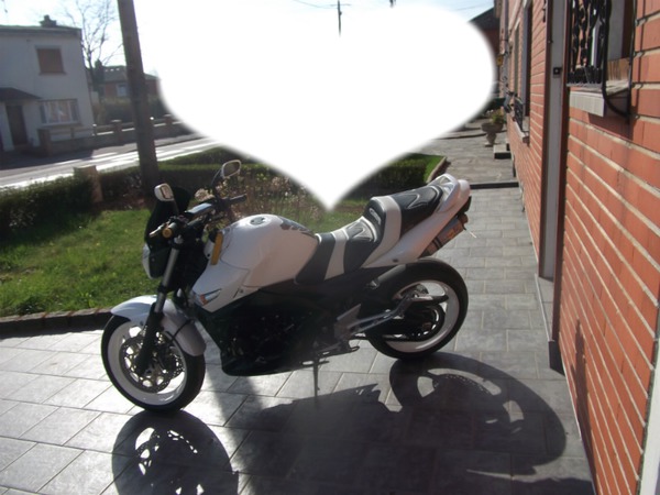 moto 600 gsr Photo frame effect