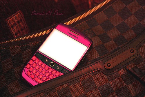 blackberry in handbag Photo frame effect
