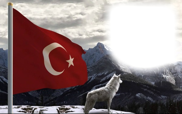 bozkurt türk bayrağı. Fotomontaż