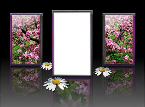 espejo Photo frame effect