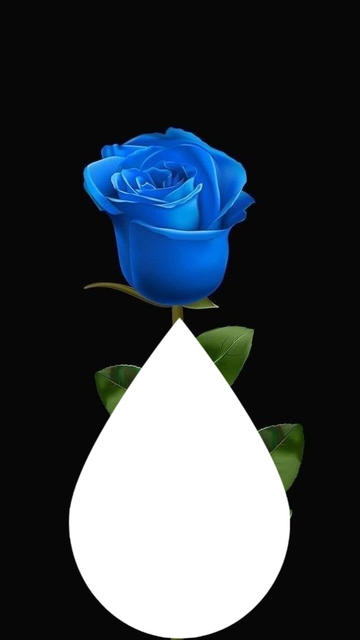 Rose bleue Fotomontage