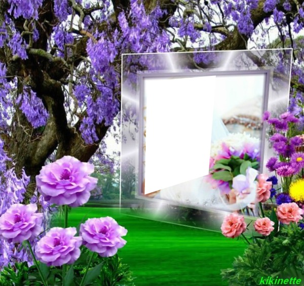 cadre  fleur Fotomontage