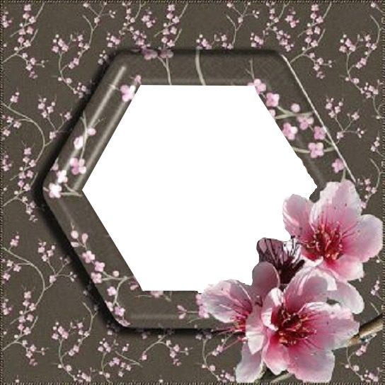 Hexágono y flores rosadas Montaje fotografico