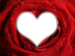 la rose au fond de notre coeur Photomontage