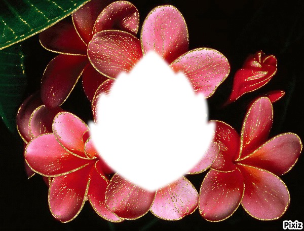 fleur de Fr Photo frame effect