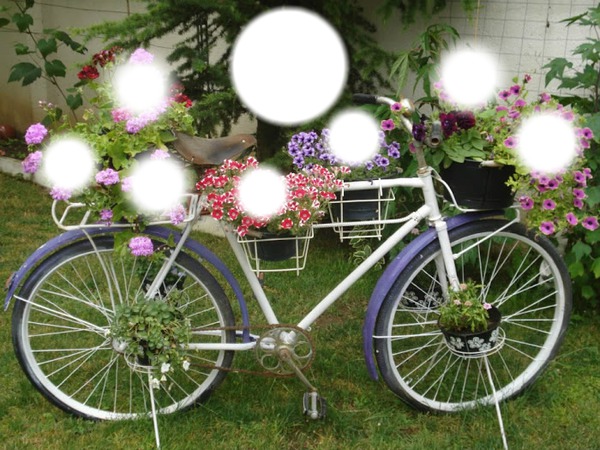 bicicleta florida Montaje fotografico