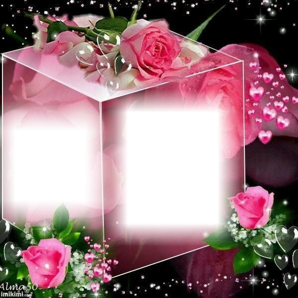 Cubo rosa Montaje fotografico