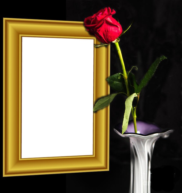 Red rose and frame Photomontage