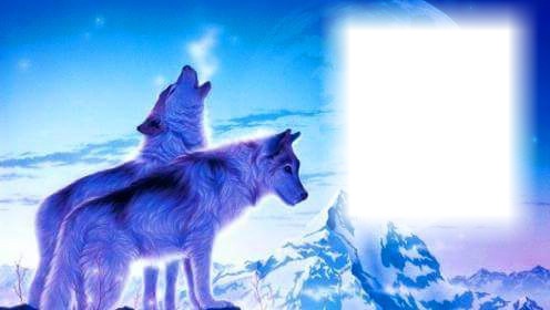Wolf Photo frame effect