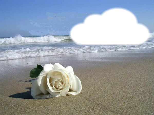 la mer et la rose blanche Fotomontagem