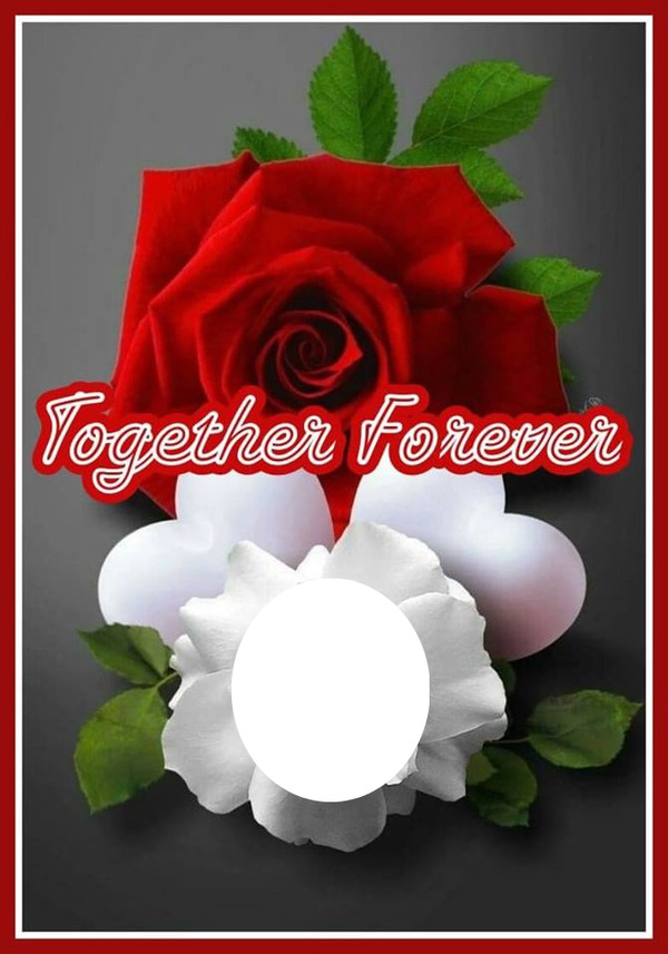 together 4 ever Montage photo