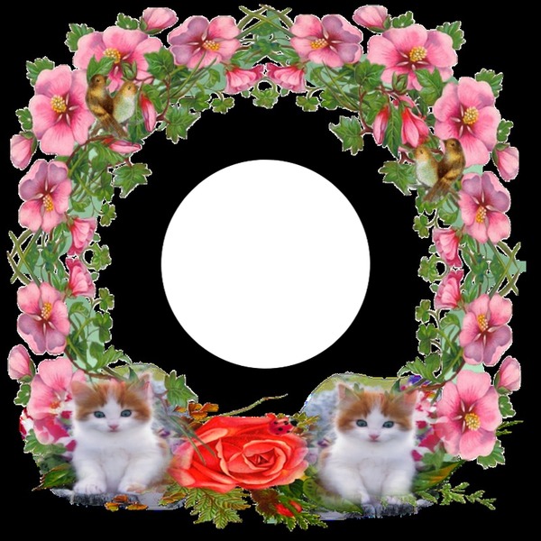 Couronne de fleurs et chatons Fotomontage