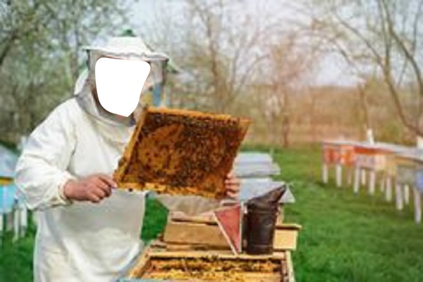 imker met  bijen Montaje fotografico