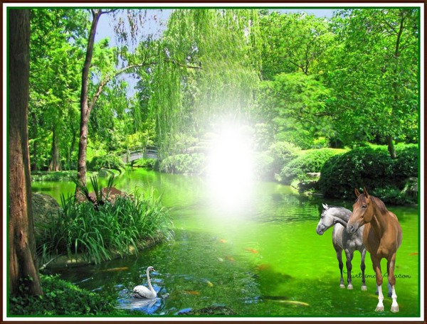 Cadre nature chevaux Fotoğraf editörü