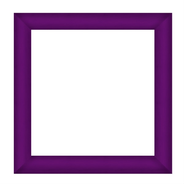 cadre violet Montage photo