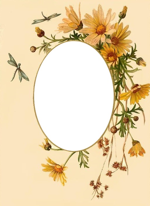 marco ovalado y flores amarilllas. Fotomontagem