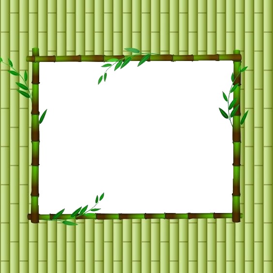 bambú Montaje fotografico