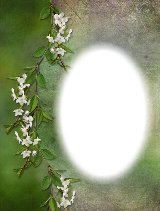 fleurs blanches-fond vert Photo frame effect