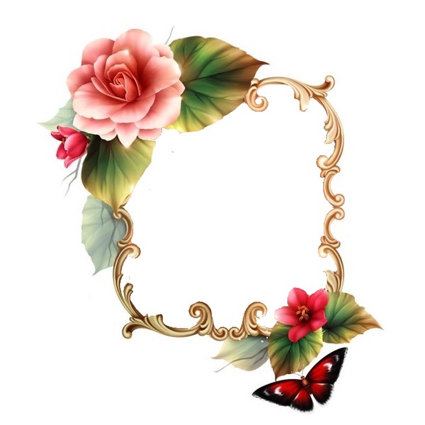 marco, flores y mariposa. Photomontage