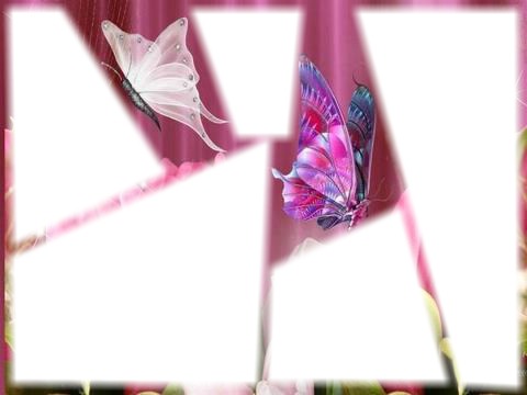 L'amour façon Papillons Φωτομοντάζ