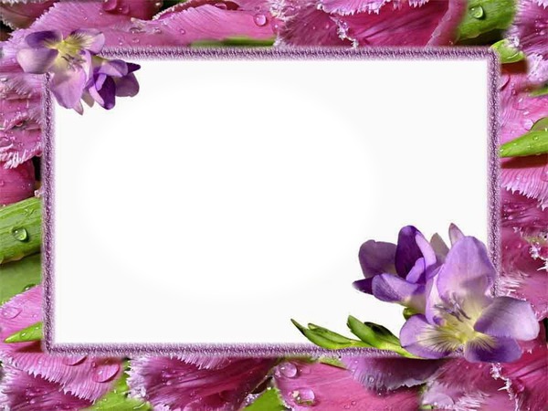 Cadre-fleurs roses et mauves Photo frame effect