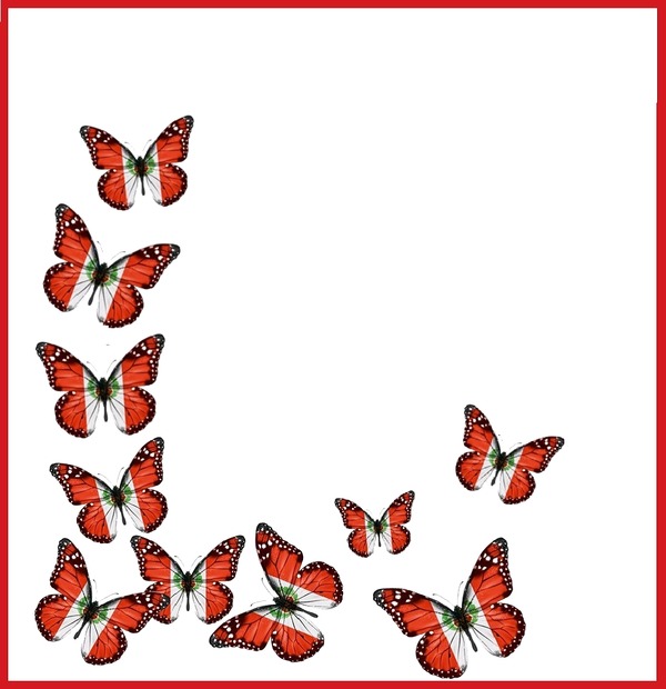 mariposas bicolor, colores de bandera del Perú. Фотомонтаж