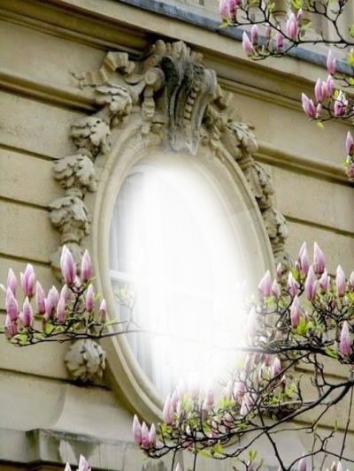 Cadre avec magnolias Montage photo