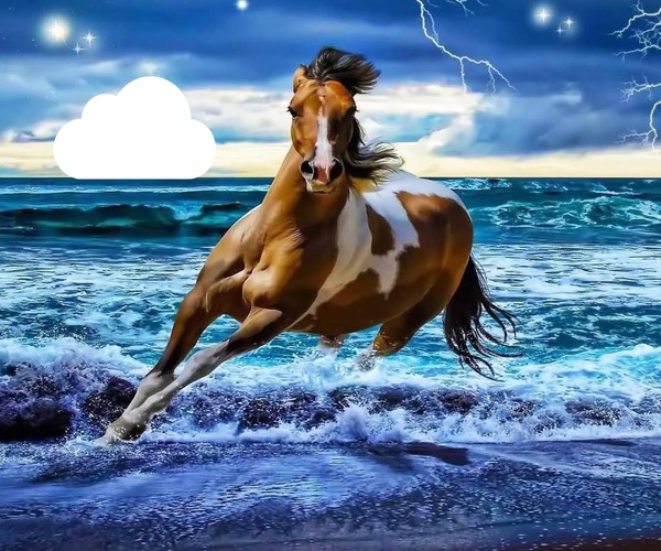 free running horse at the ocean Photo frame effect