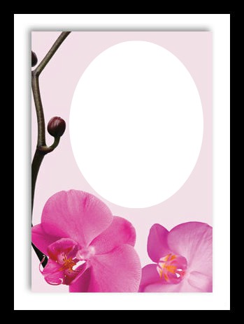 Pink flowers love frame Fotomontage