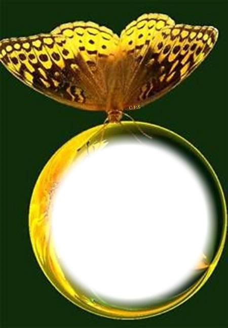 Cc esfera con mariposa Fotómontázs
