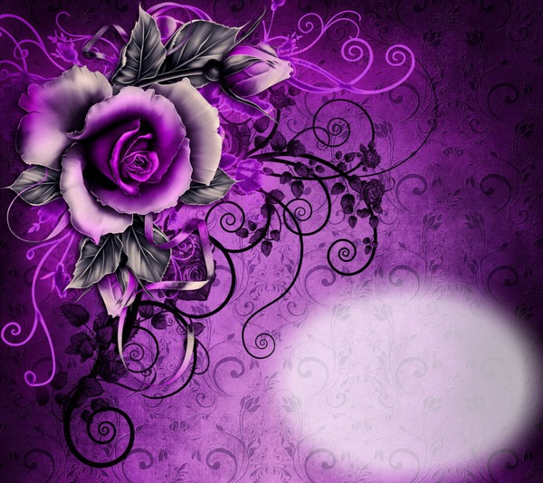 Purple Rose Photo frame effect