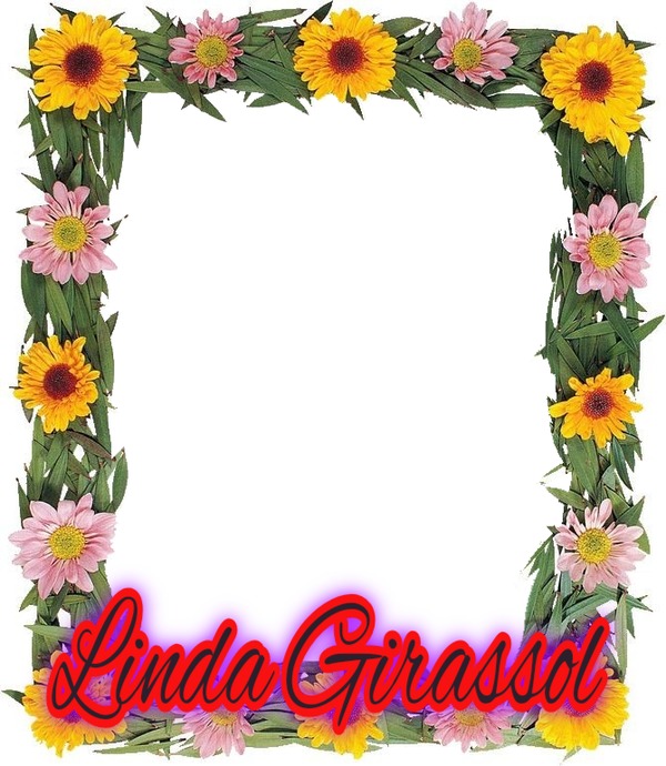 Girassol mimosdececinha Photo frame effect