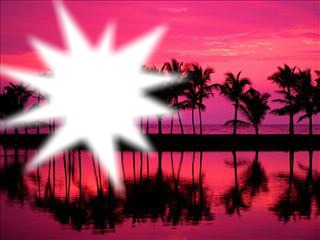 Coucher du soleil sur palmier Fotomontaż