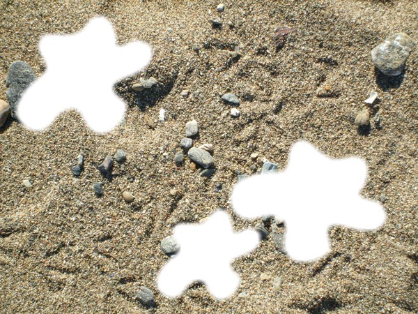 pattes d'oiseau sur une plage de st-TROPEZ Photomontage