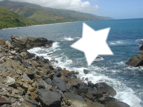 étoile de mer Photomontage