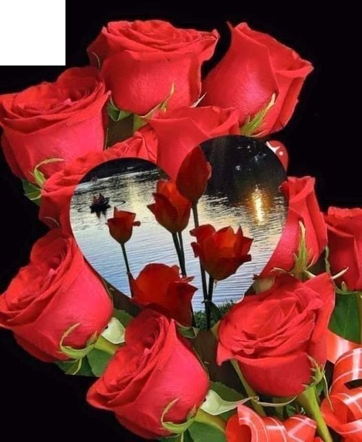 Coeur roses Fotomontasje
