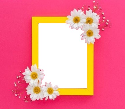 marco amarillo y florecillas, fondo fucsia. Fotomontaža