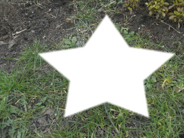 herbe + étoile <3 Fotomontaż