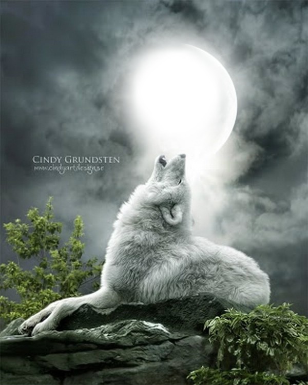 Loup qui hurle a la lune Montaje fotografico