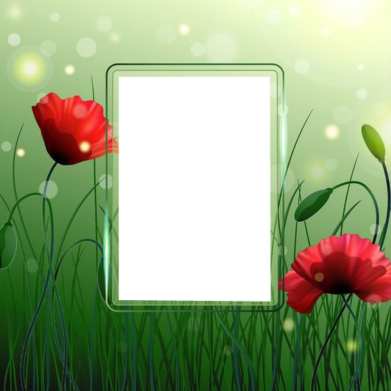 cuadro1 Photo frame effect