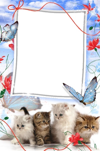 kid cats Photo frame effect